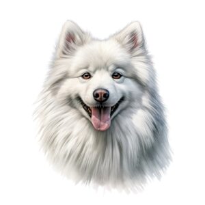 American Eskimo Dog.png