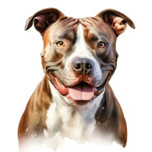 American Staffordshire Terrier.png