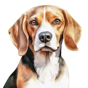 Beagle.png