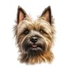 Cairn Terrier.png