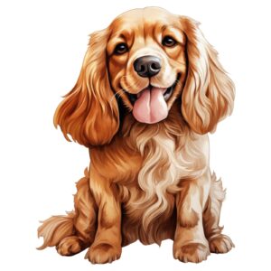 Cocker Spaniel Dog.png