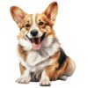 Corgi Dog.png