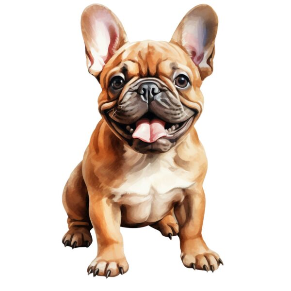 French Bulldog.png