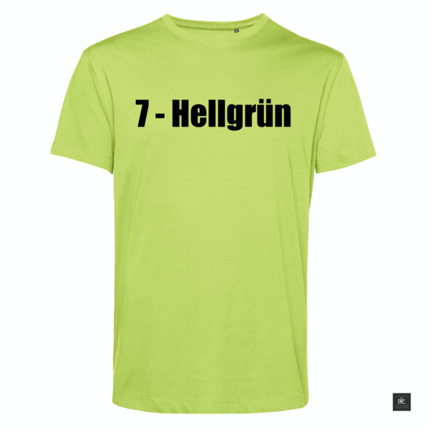 Hellgrün.png