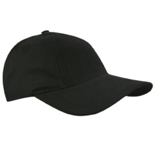 Brushed Promo Cap