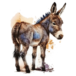 Bügelbild - Esel - Watercolour