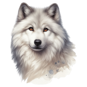 Bügelbild - Artic - Wolf - Vorderansicht