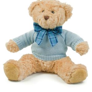 Teddy Jumper
