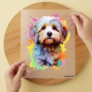 Bügelbild/Sticker - Havaneser - Bunt