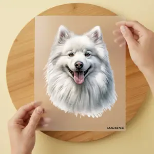 Bügelbild/Sticker - Watercolour - American Eskimo Dog
