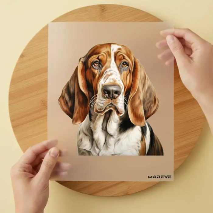 Bügelbild-Watercolour-Basset-Hound