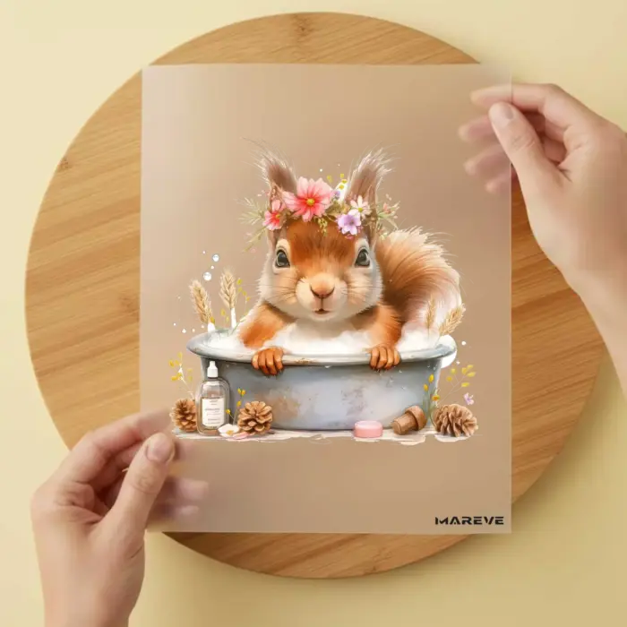 Eichhörnchen-Baden